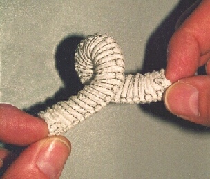 Curlystent2.jpg (117212 bytes)